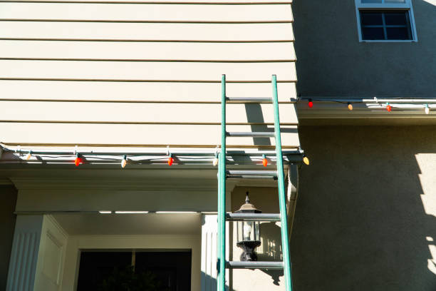 Best Shed Removal  in Matteson, IL